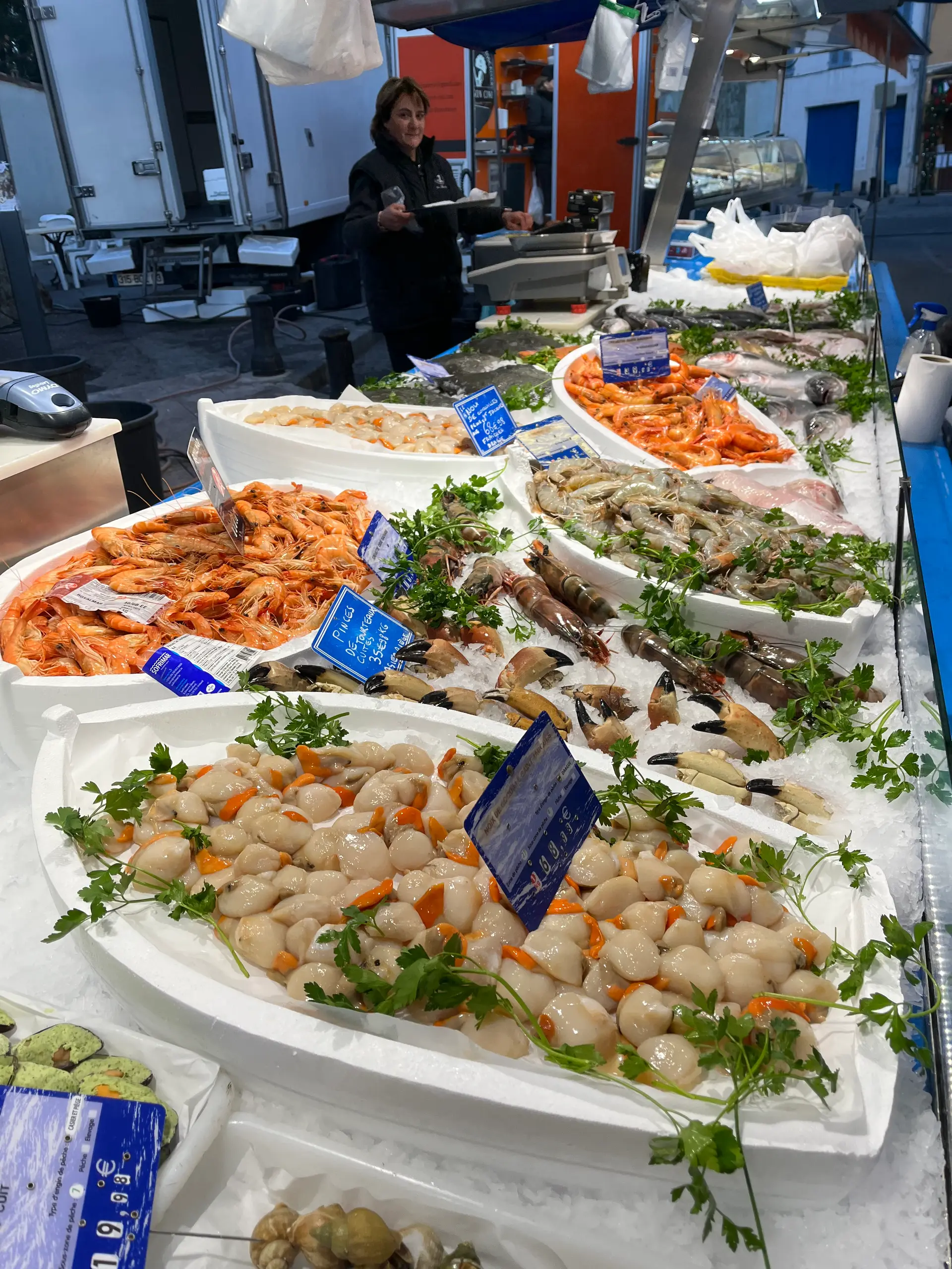 Coquilles Saint-Jacques