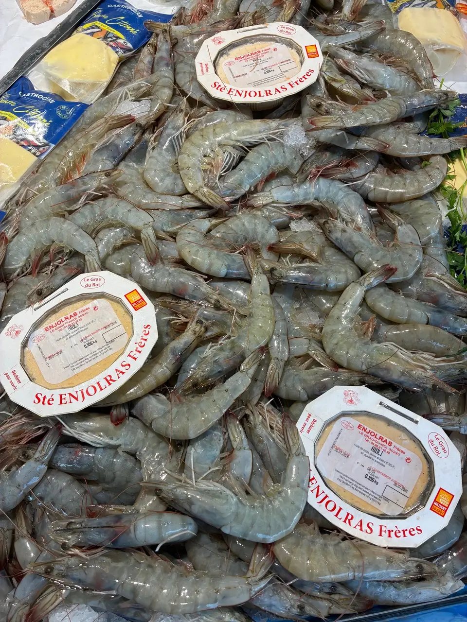 Gambas crues