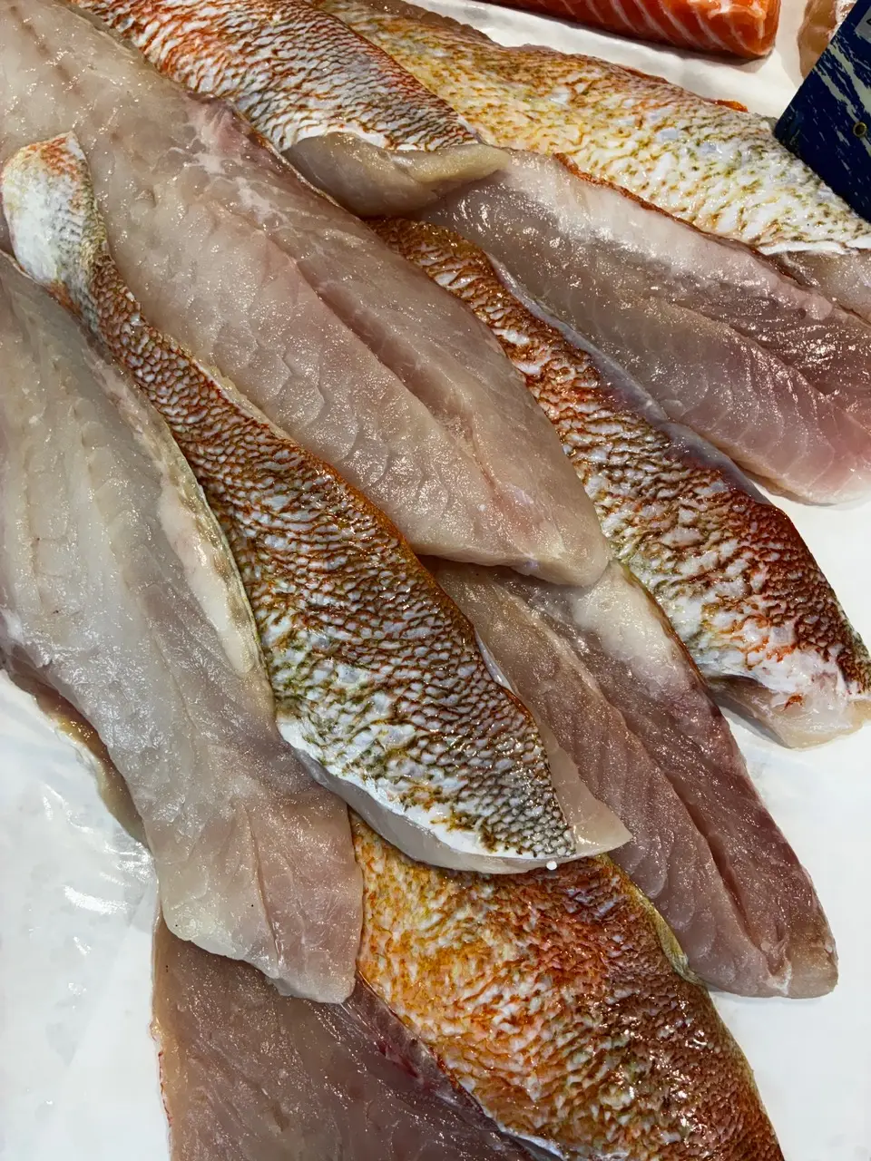 Filet de daurade sébaste