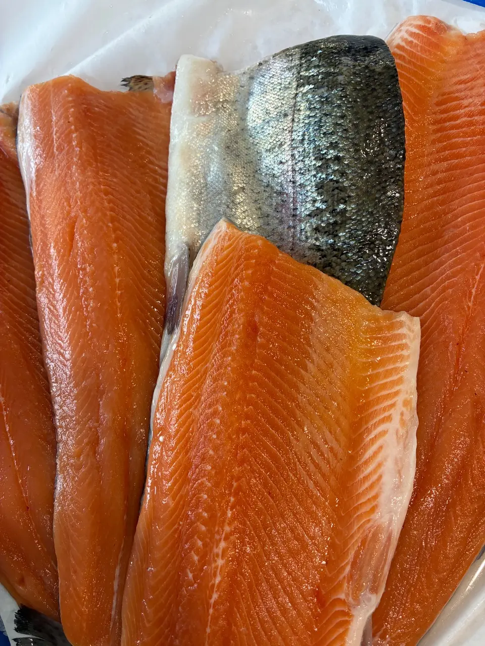 Filet de truite