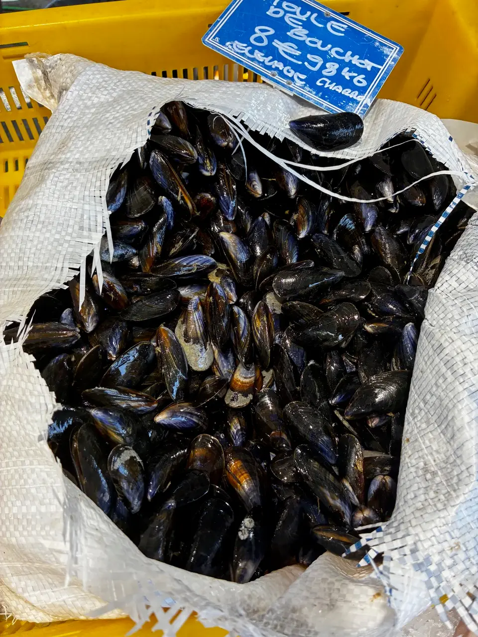 Moules de bouchot